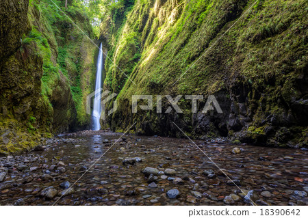 Beautiful nature in Oneonta Gorge trail, Oregon. Beautiful nature in Oneonta Gorge trail, Oregon. 18390642