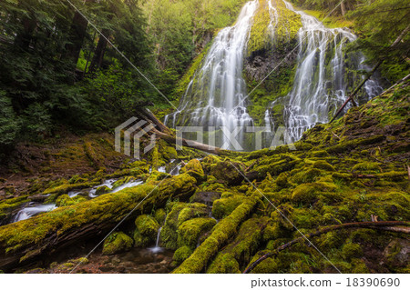 Beautiful Proxy falls in mist, Oregon Beautiful Proxy falls in mist, Oregon 18390690
