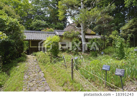 Morino老藥用園 18391243