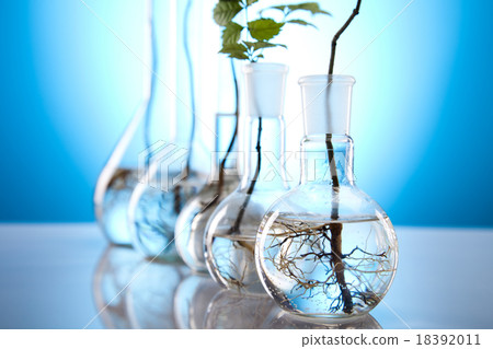 Laboratory glassware equipment, Experimental plant 18392011