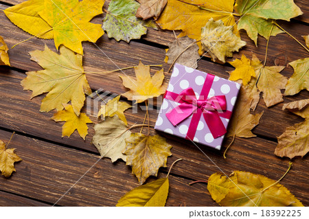 Gift box and leafs Gift box and leafs 18392225