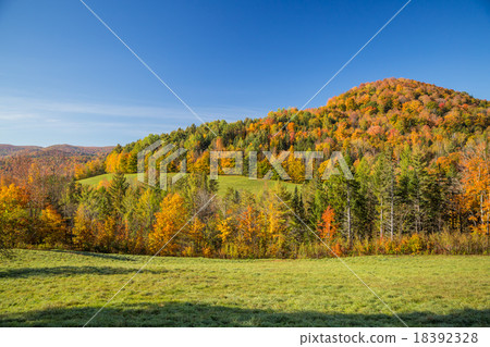Autumn foliage in Vermont countryside, VT 18392328