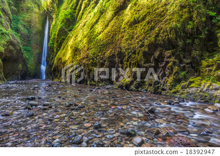 Oneonta falls in Oneonta Gorge trail, Oregon Oneonta falls in Oneonta Gorge trail, Oregon 18392947
