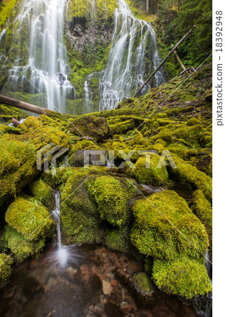 proxy falls in oregon rain forest proxy falls in oregon rain forest 18392948