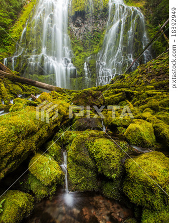 proxy falls in oregon rain forest. 18392949