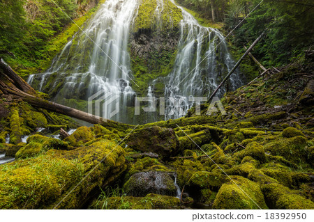 proxy falls in oregon rain forest 18392950
