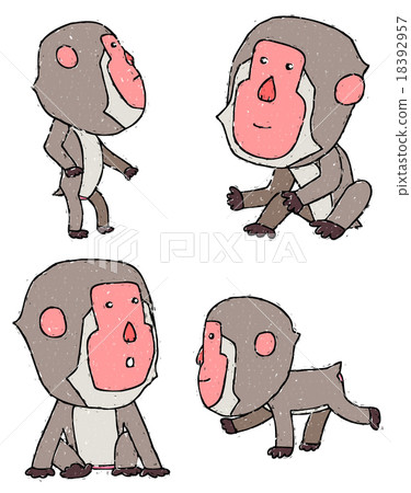 Japanese macaques 18392957