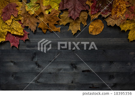 Wood autumn background 18395356