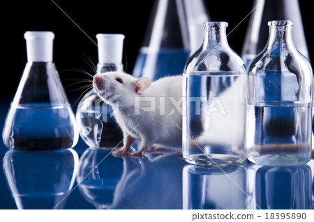 Laboratory equipment, bright modern chemical  18395890