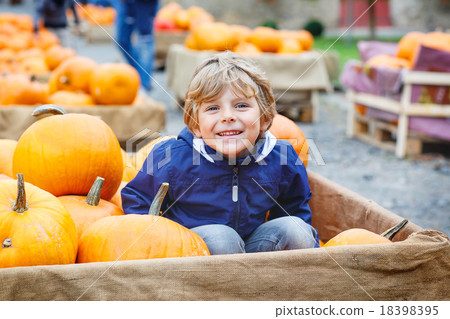 Little kid boy on pumpkin farm celebrating thanksgiving Little kid boy on pumpkin farm celebrating thanksgiving 18398395