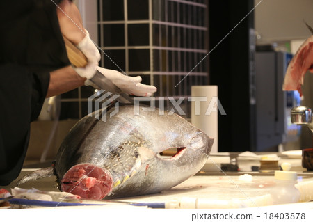 Tuna dismantling show 18403878
