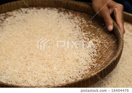 woman competitive winnowing rice woman competitive winnowing rice 18404476