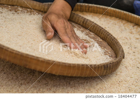 woman competitive winnowing rice woman competitive winnowing rice 18404477