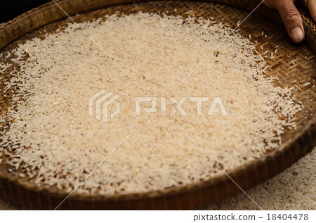 woman competitive winnowing rice 18404478