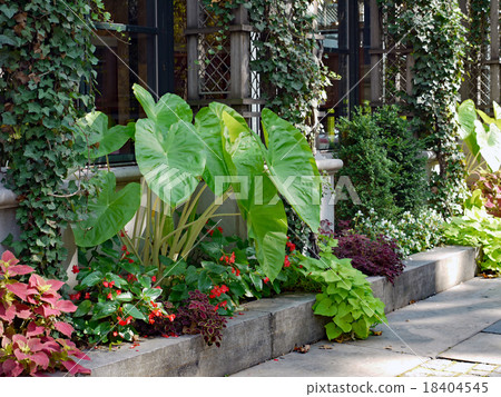 Restaurant Green 18404545