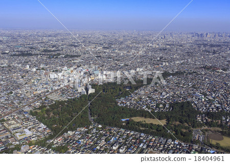 吉祥寺周圍 18404961