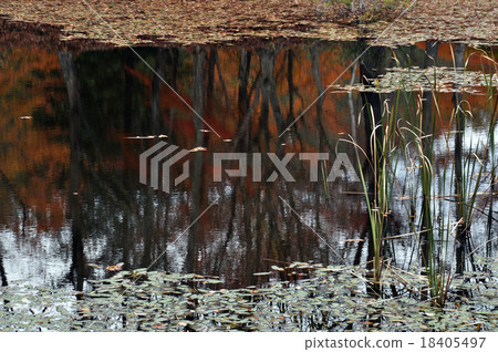 Takadoya wetland 3 18405497