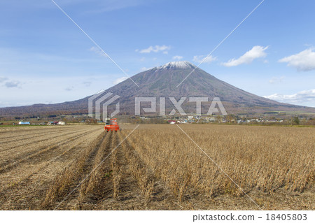 Soybean harvest 18405803