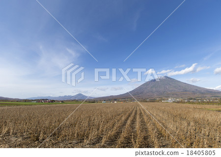 Soybean harvest Soybean harvest 18405805