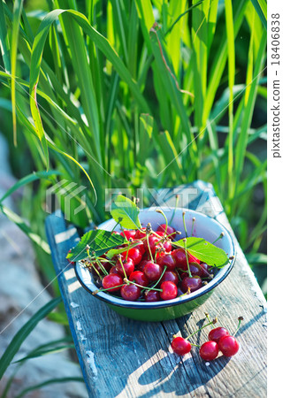 水果 樱桃 照片 fresh cherry 首页 照片 蔬菜/食材 水果 樱桃 fresh