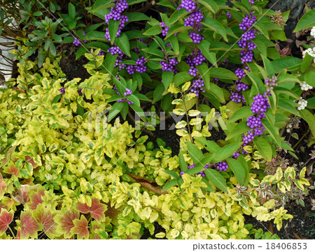 Plumbing in autumn 18406853