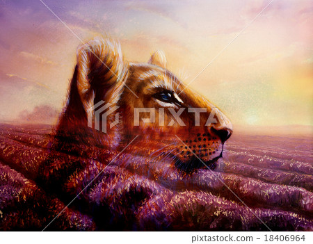 Little lion cub head on purple lavender fields Little lion cub head on purple lavender fields 18406964