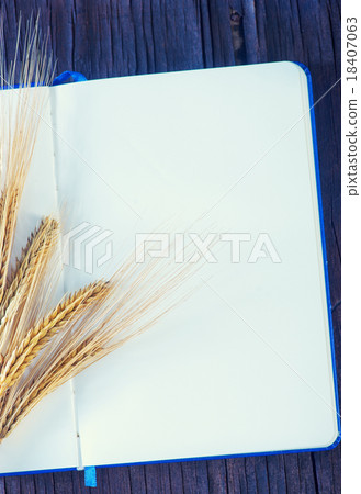 wheat and paper 18407063