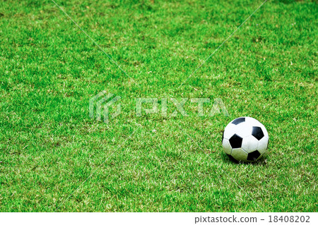 soccer ball 18408202