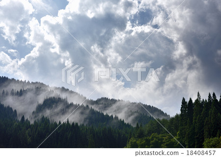 雨後的山林 雨後的山林 18408457