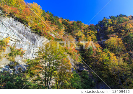 Okumohana Valley 18409425