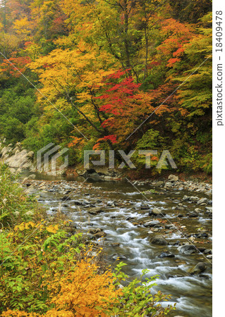 Okumohana山谷 18409478