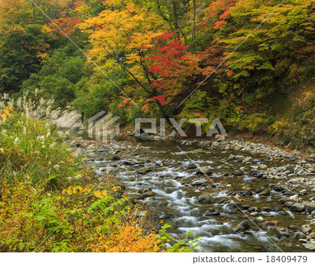 Okumohana山谷 18409479