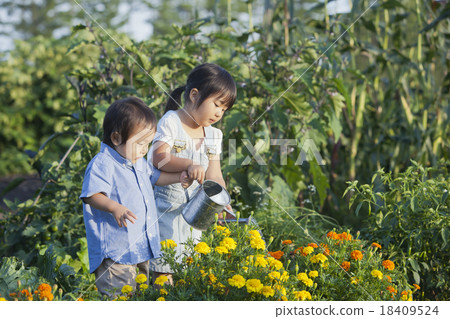 Gardening family Gardening family 18409524