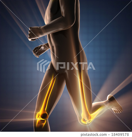 human bones radiography scan image 18409578
