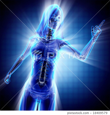 woman bones radiography scan image 18409579
