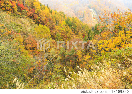 Okutsenka Nature Park Okutsenka Nature Park 18409890
