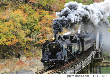 Autumnal Today Line SL 18411886