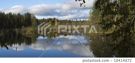 Panorama of beautiful swamp in taiga 18414872