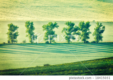 Moravian rolling landscape in early morning 18415031