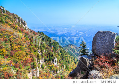 Autumn leaves of Omikadake 18416518