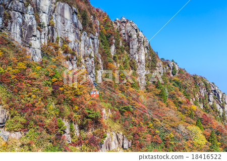 Autumn leaves of Omikadake 18416522