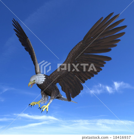 Baikaku鷹 Baikaku鷹 18416937