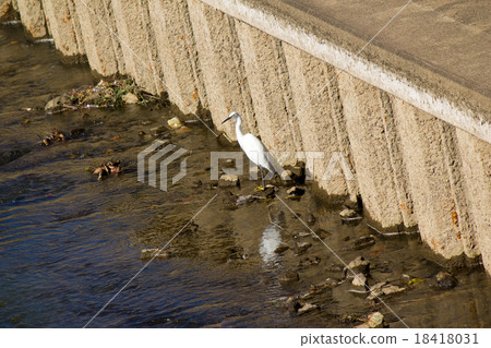 Heron Heron 18418031