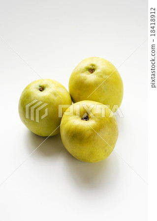 Karin Karashina Karin 18418912