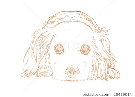 臘腸犬01 臘腸犬01 18419014