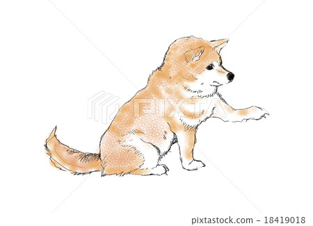 Shiba Inu 01 Shiba Inu 01 18419018