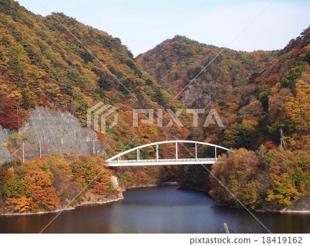 Autumn leaves 18419162