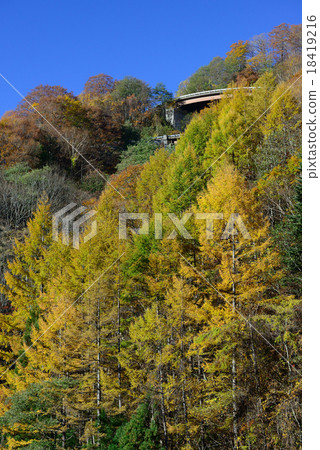 Hirayu通行證秋葉 18419216
