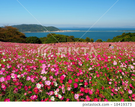 Nokonoshima Nokonoshima 18419373