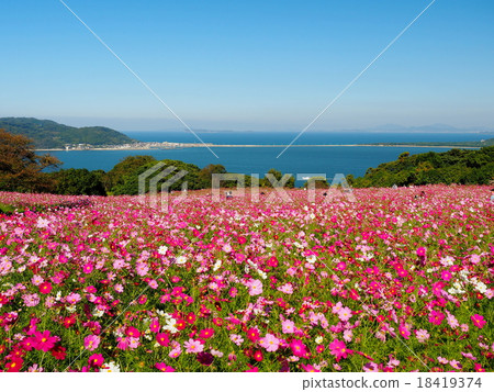 Nokoshima Nokoshima 18419374